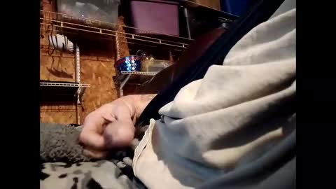    RICHY    online show from 11.01.25