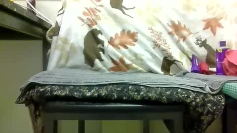 Daddy online show from 02.13.26