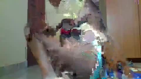 Sexybilha483 online show from 02.22.25