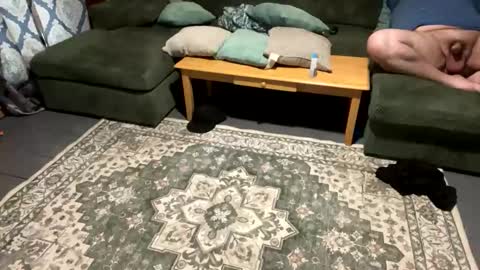 sexycouple762734 online show from 04.26.26