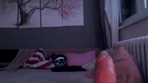     .... ............ Onlyfans   online show from 01.29.25