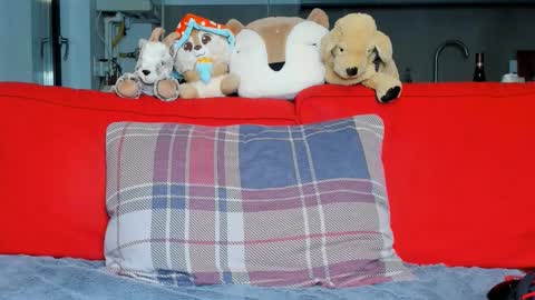 Ari online show from 10.05.25