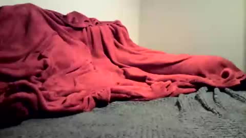 Snapshot of sexygg8331 chatting on 12.16.24 sexygg8331 online show from 12.16.24