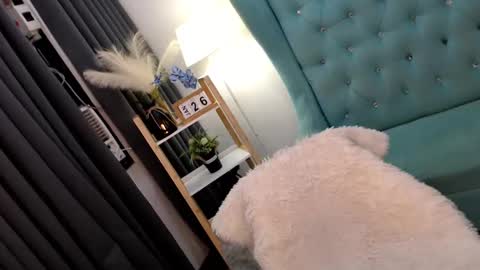 JENNY online show from 01.26.25