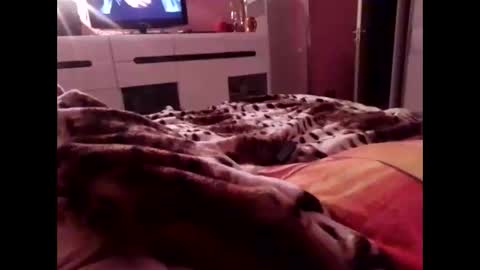 Snapshot of sexypairjuly chatting on 11.04.25 sexypairjuly online show from 11.04.25