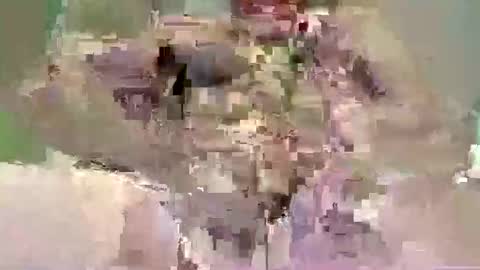 sfpleasure online show from 05.10.26