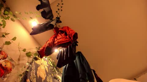 shadow_raffi online show from 11.07.25