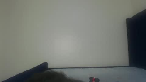 Snapshot of shadow_sweets chatting on 11.29.25 Shadow online show from 11.29.25