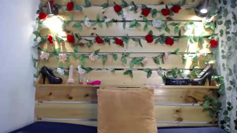 Sharol online show from 02.14.25