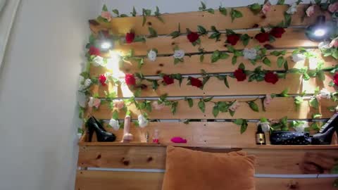 Sharol online show from 03.01.25