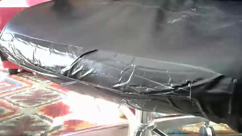 shavedassballs online show from 10.31.25