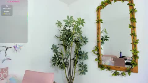 Snapshot of shegoblake chatting on 11.26.25 Shego online show from 11.26.25