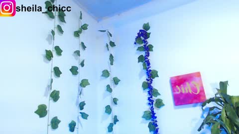 Snapshot of sheila_bigcok chatting on 12.09.24 SHEILA  online show from 12.09.24