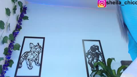 Snapshot of sheila_bigcok chatting on 02.25.25 SHEILA  online show from 02.25.25