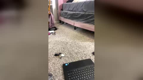 Snapshot of sheliaaverette chatting on 12.20.25 Shelia Averette online show from 12.20.25