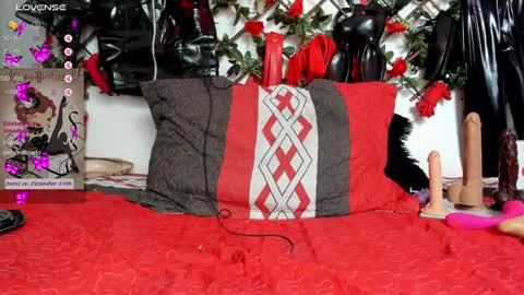 Snapshot of shengyi_blue chatting on 12.17.24  anyela7773 online show from 12.17.24