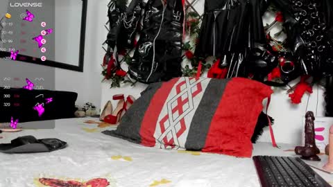 Snapshot of shengyi_blue chatting on 12.29.24  anyela7773 online show from 12.29.24