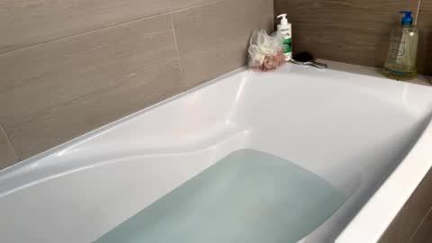 shhdana online show from 03.23.26