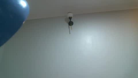 Snapshot of shiro254 chatting on 11.24.25 Shi-ro online show from 11.24.25