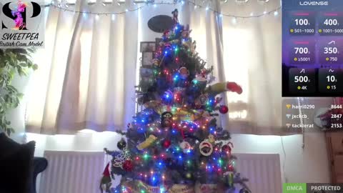 short sweetpea online show from 12.14.24