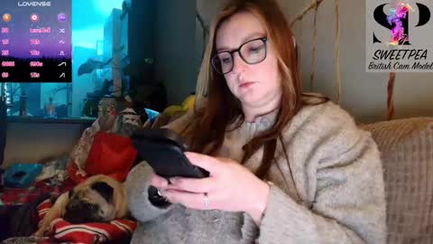 short sweetpea online show from 03.08.26