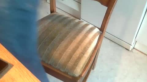 Snapshot of sibblii0 chatting on 01.07.25 Seba online show from 01.07.25