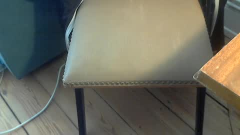Snapshot of sibblii0 chatting on 06.19.26 Seba online show from 06.19.26