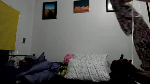 Snapshot of sierrasquirter chatting on 01.23.25 Sierra online show from 01.23.25