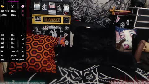 Allmylinkssilentmary666 online show from 12.28.24
