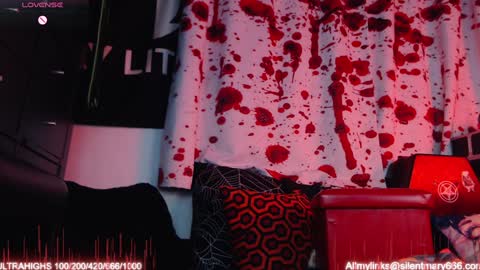 Snapshot of silentmary chatting on 11.19.25 Allmylinkssilentmary666 online show from 11.19.25