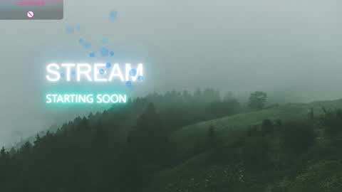 Snapshot of silentmary chatting on 12.14.25 Allmylinkssilentmary666 online show from 12.14.25