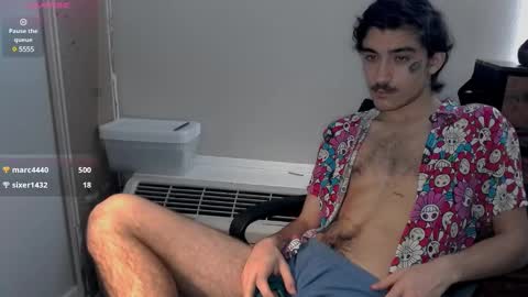 Snapshot of silly_cybin chatting on 01.19.25 cybin online show from 01.19.25