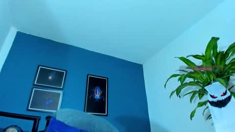 silvabranko online show from 10.17.25