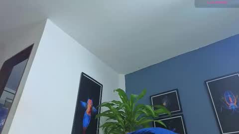 silvabranko online show from 11.26.25