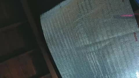 silvabranko online show from 04.13.26