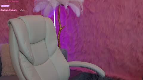 Snapshot of silverrmoon chatting on 01.19.25 Kristina Kris online show from 01.19.25