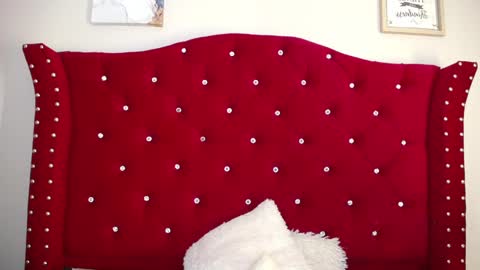 Snapshot of silvia_ls chatting on 02.16.25 silvia_ls online show from 02.16.25