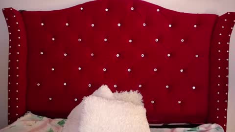 Snapshot of silvia_ls chatting on 02.19.25 silvia_ls online show from 02.19.25