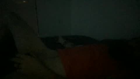 sinamaxx online show from 12.02.25