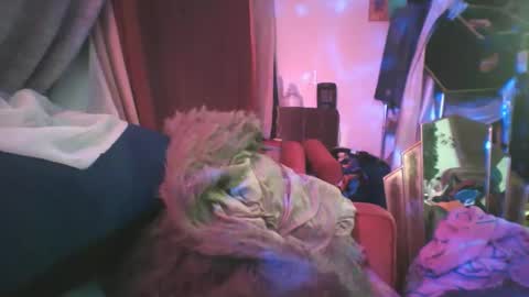 Snapshot of siofra chatting on 02.24.25 Siofra online show from 02.24.25