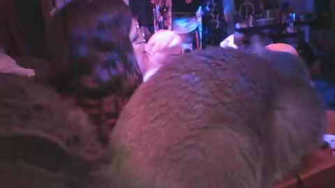 Snapshot of siofra chatting on 03.06.25 Siofra online show from 03.06.25