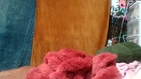 Snapshot of siofra chatting on 11.16.25 Siofra online show from 11.16.25