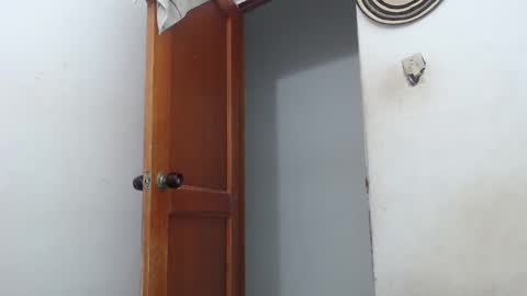 Snapshot of sirajones chatting on 03.02.25 sirajones online show from 03.02.25