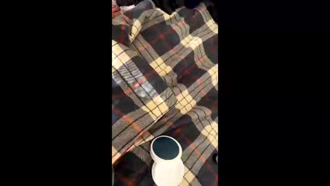 sirgalaxy online show from 11.02.25