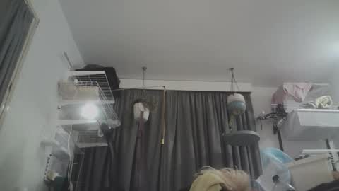 RESPONDS WELL TO ... online show from 03.08.26