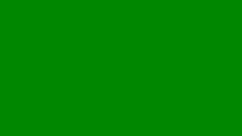 sjorm online show from 04.29.26