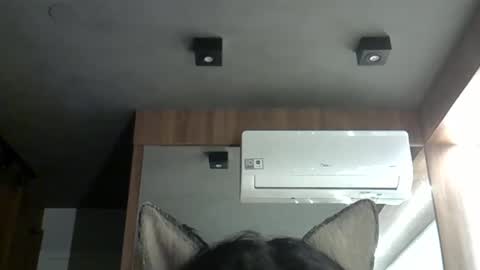 skinnykittencam online show from 10.20.25