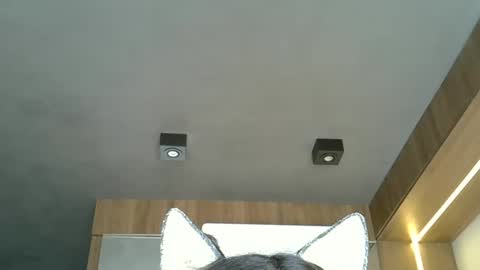 skinnykittencam online show from 10.20.25
