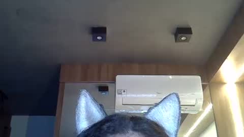 skinnykittencam online show from 11.10.25