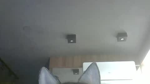 skinnykittencam online show from 11.24.25